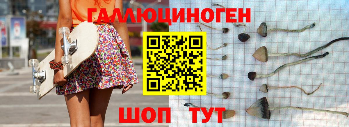 Киселёвск  где купить наркоту  Вход с VPN  Галлюциногенные грибы прущие грибы 