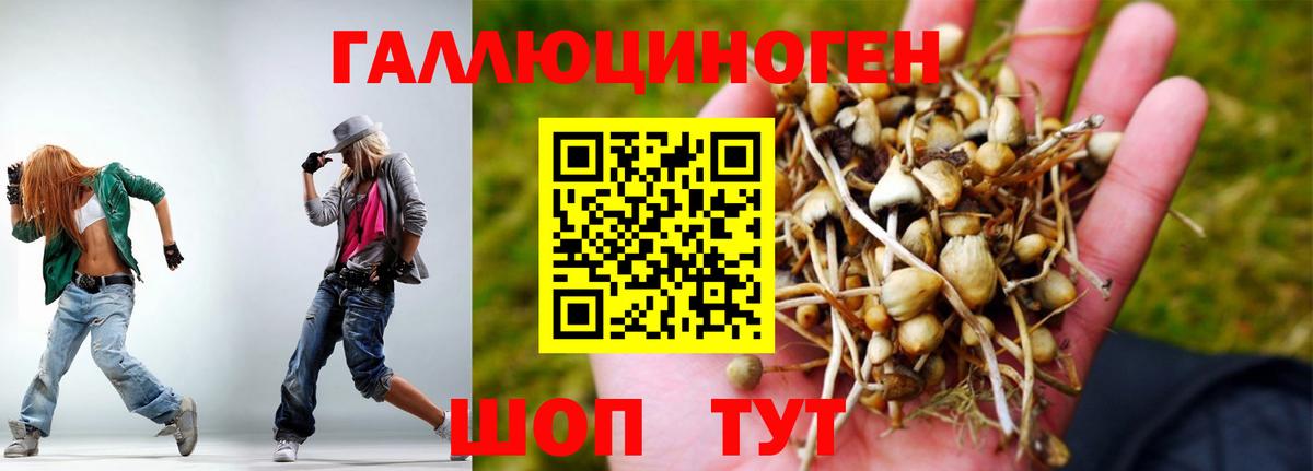 Псилоцибиновые грибы GOLDEN TEACHER Киселёвск